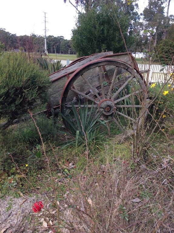 Snowy River Orbost